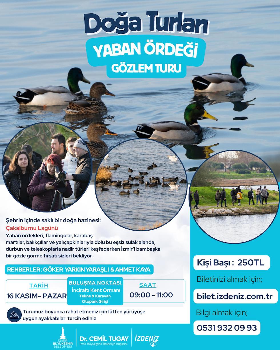 yaban2